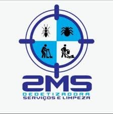 2ms